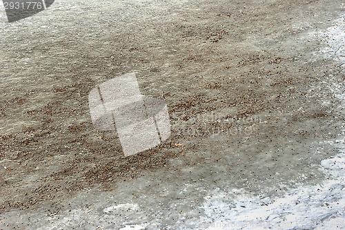 Image of Frozen street