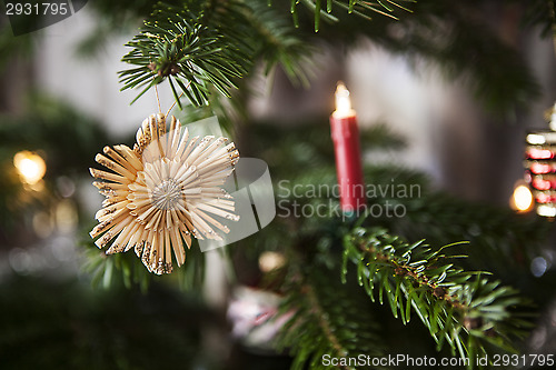 Image of Straw stars on a christmas tree