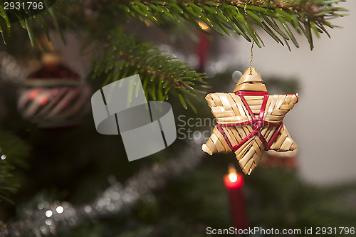 Image of Straw stars on a christmas tree