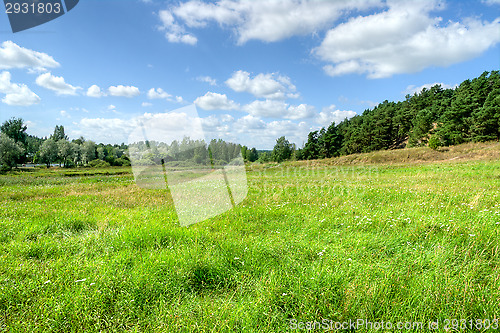 Image of Landscape