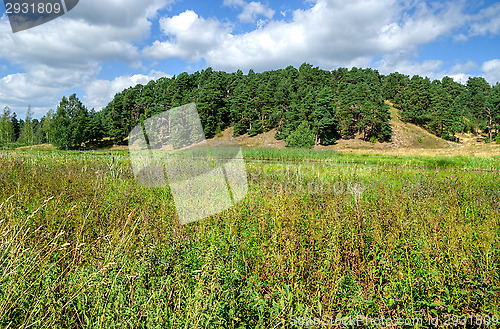 Image of Hill