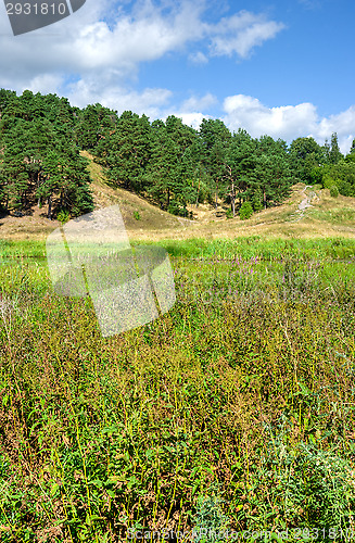 Image of Landscape
