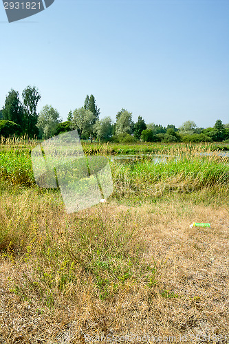 Image of Landscape