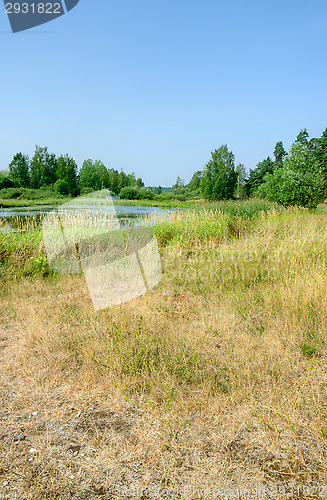 Image of Landscape