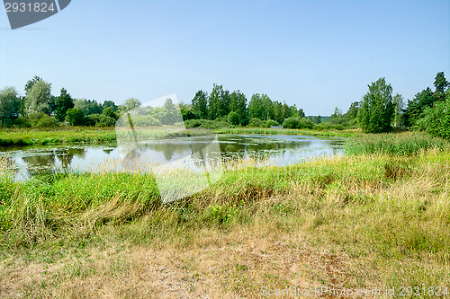Image of Pond