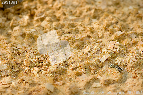 Image of Sawdust