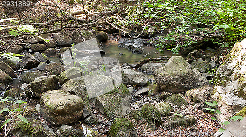 Image of Creek