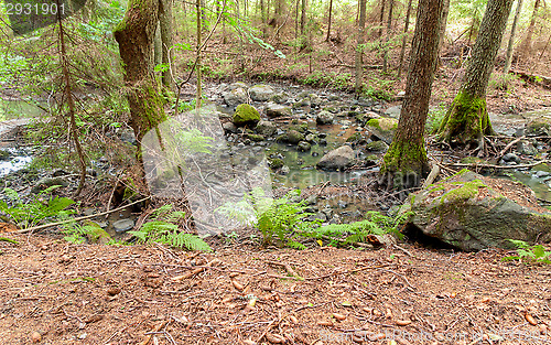 Image of Creek