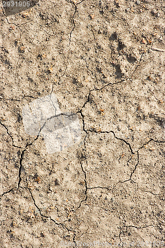 Image of Ground