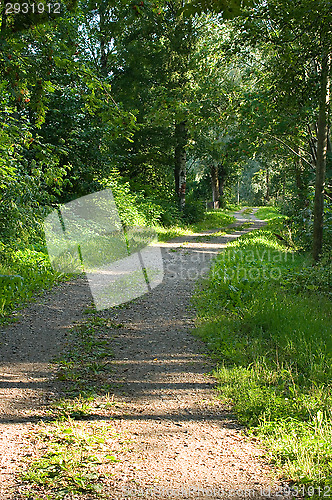 Image of Road