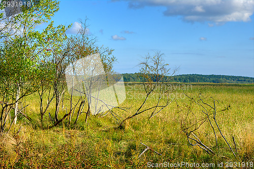 Image of Landscape