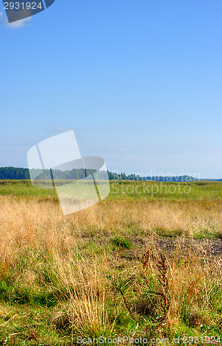 Image of Landscape