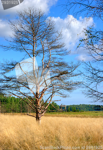 Image of Autumn