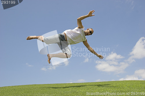 Image of Falling from the sky