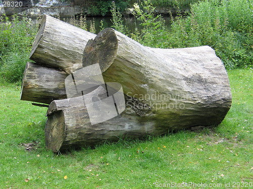 Image of Gian Log