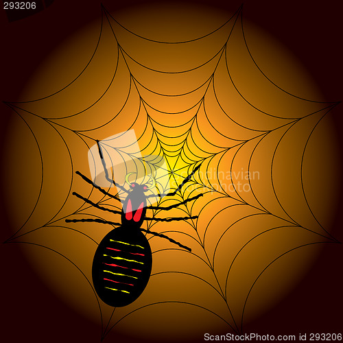 Image of halloween spider