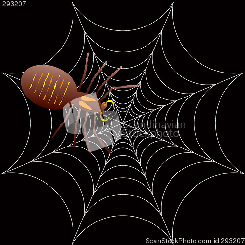 Image of halloween spooky spider