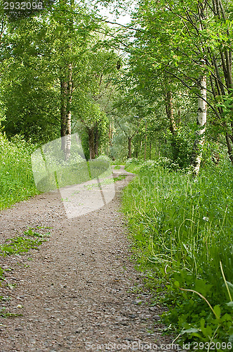 Image of Dirt road