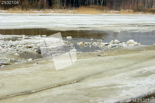 Image of Ice floe