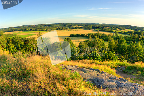 Image of Landscape