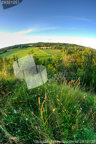 Image of Landscape