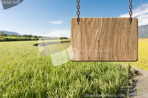 Image of Blank wooden sign