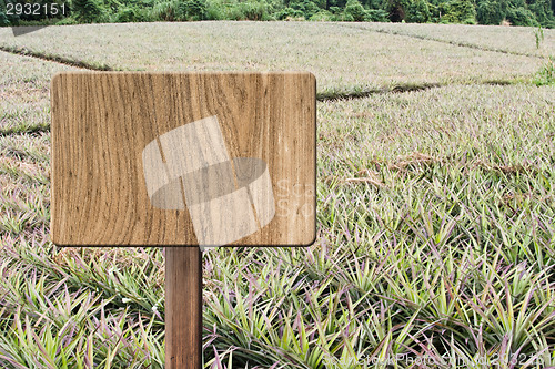 Image of Blank wooden sign