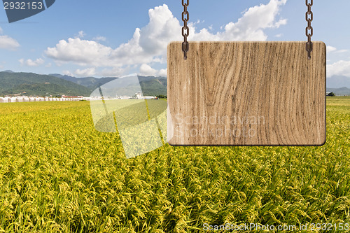 Image of Blank wooden sign