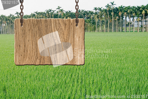 Image of Blank wooden sign
