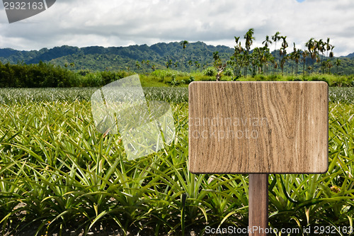 Image of Blank wooden sign