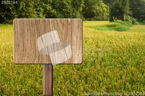 Image of Blank wooden sign