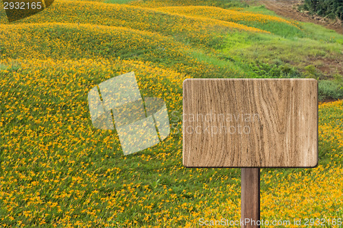 Image of Blank wooden sign