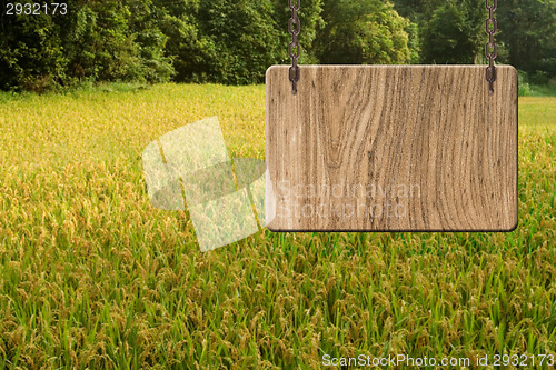 Image of Blank wooden sign