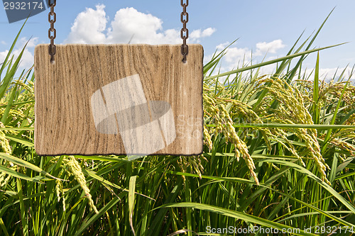 Image of Blank wooden sign