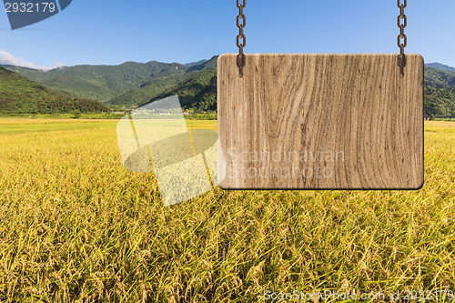 Image of Blank wooden sign