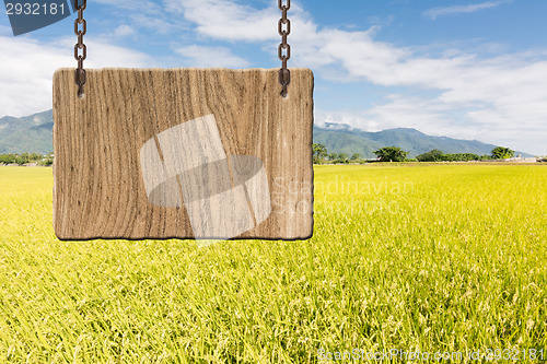 Image of Blank wooden sign