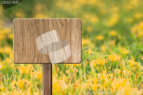 Image of Blank wooden sign