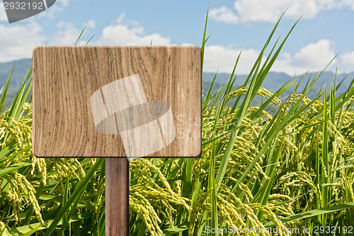 Image of Blank wooden sign