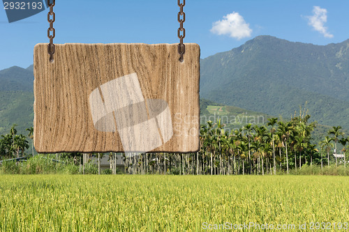 Image of Blank wooden sign