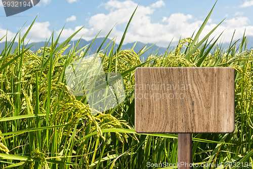 Image of Blank wooden sign