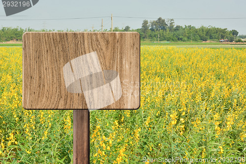 Image of Blank wooden sign