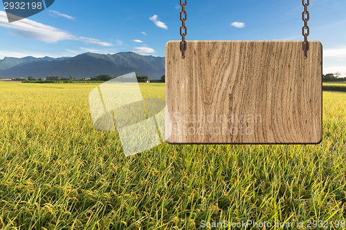 Image of Blank wooden sign