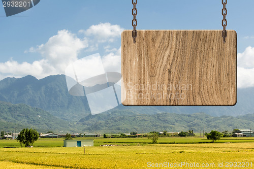 Image of Blank wooden sign