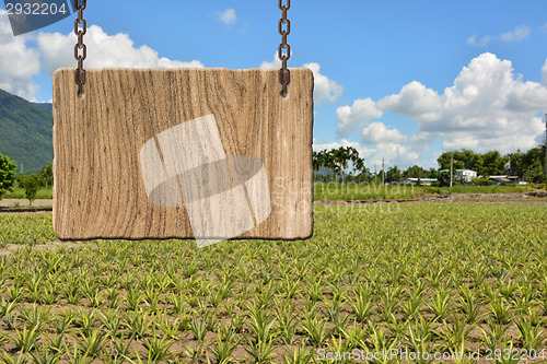 Image of Blank wooden sign