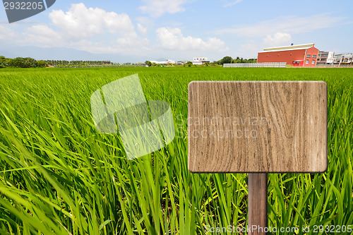 Image of Blank wooden sign