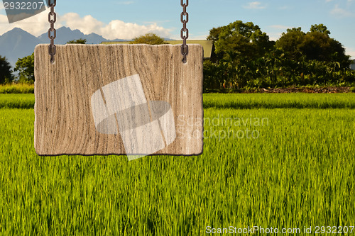 Image of Blank wooden sign