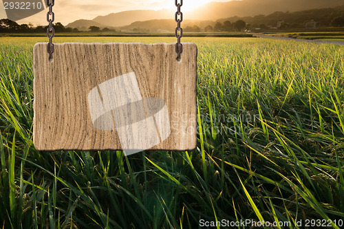 Image of Blank wooden sign