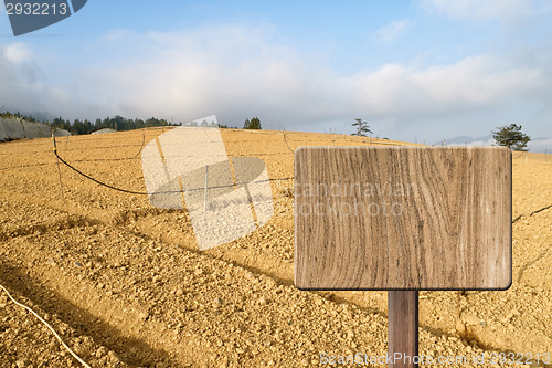 Image of Blank wooden sign