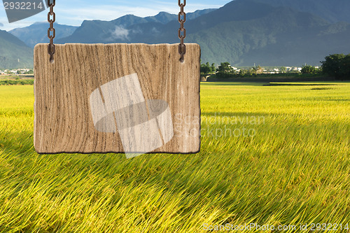 Image of Blank wooden sign