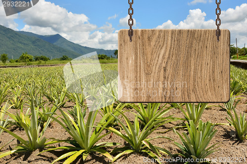 Image of Blank wooden sign